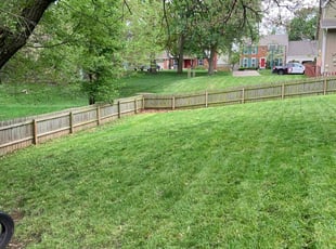Jolynn S.'s Lawn Maintenance service result