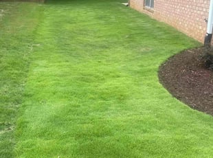 Leighton B.'s Lawn Mowing Service service result