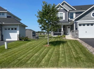 Vijay G.'s Lawn Care service result