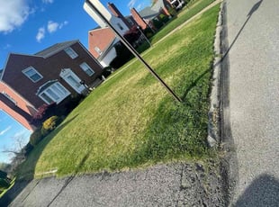 Rory D.'s Grass Cutting service result