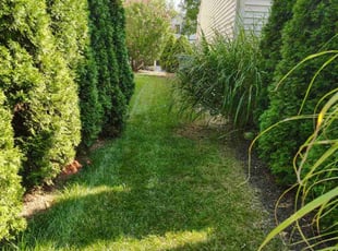 Amjad B.'s Lawn Maintenance service result