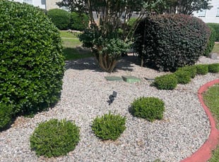 Cleanups by Jaczuile Pegues for Alexus H. in Elgin, SC