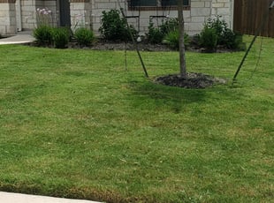 Lisa W.'s Lawn Care service result