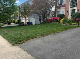 Alicia D.'s Lawn Mowing service result