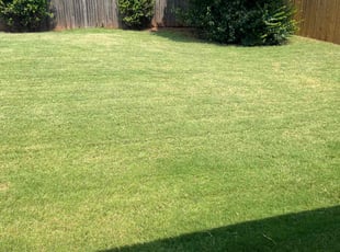 John B.'s Lawn Service service result