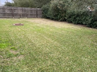 Leaf Removal by Austin Mckenzie for Muhammad S. in Tomball, TX