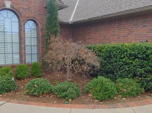 Bush Trimming by Luis Vargas for Amanda B. in Edmond, OK