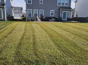 Terri R.'s Lawn Service service result