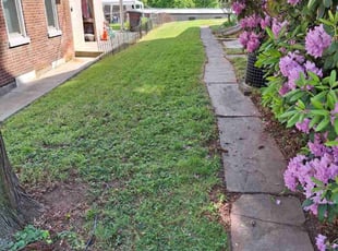 Colleen L.'s Lawn Care service result