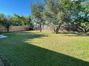 Reese D.'s Lawn Mowing service result