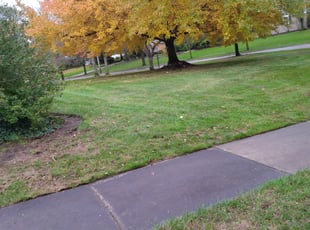 Cleanups by Anthony Coleman for Jenny L. in Shaker Heights, OH