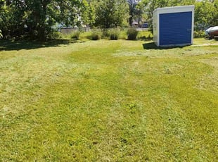 Angie B.'s Lawn Mowing service result