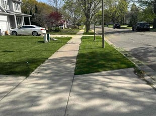 Jody S.'s Lawn Care service result