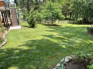Lynn S.'s Lawn Mowing service result