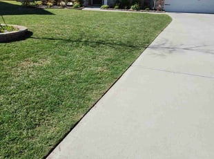 Patricia H.'s Lawn Mowing Service service result
