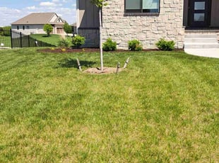 Mulching by William Beacham for Dheera K. in Bel Aire, KS