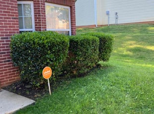 Bush Trimming by Carl Hunt for Stephen H. in Douglasville, GA
