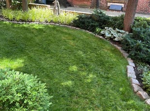 Dilyara A.'s Lawn Mowing Service service result