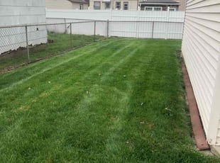 Michael Dante A.'s Grass Cutting service result