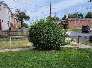 Bush Trimming by Derrick Graves for Pamela T. in Capitol Heights, MD