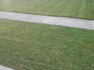 Kim H.'s Lawn Service service result