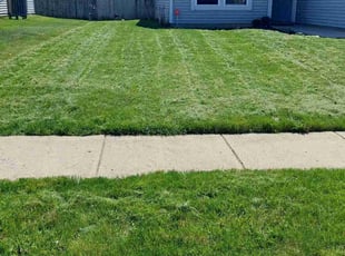 Zixu Z.'s Lawn Maintenance service result