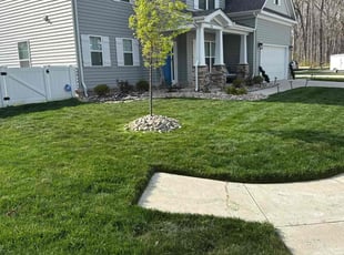 Quarry H.'s Lawn Maintenance service result