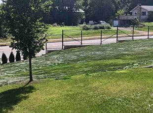 Ray Y.'s Lawn Maintenance service result