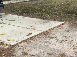 Leaf Removal by Shaderrick Smith for Tyler L. in Niceville, FL