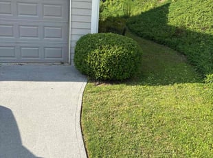 Bush Trimming by Taylor Freeman for Linda T. in Woodstock, GA