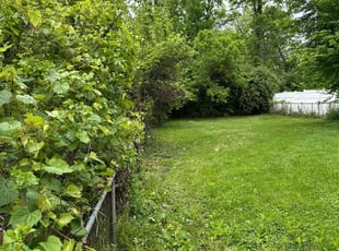 Bush Trimming by Steven Green for Amanda W. in Dayton, OH