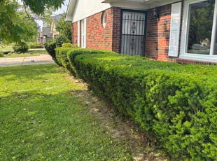 Bush Trimming by Chris Ellis for Patricia B. in Indianapolis, IN