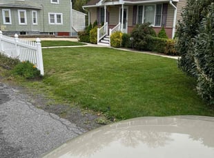 Bronwyn M.'s Grass Cutting service result