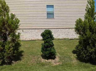 Hang V.'s Lawn Mowing service result