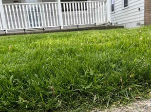 Loretta B.'s Lawn Mowing Service service result