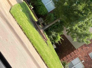 Mark W.'s Lawn Service service result