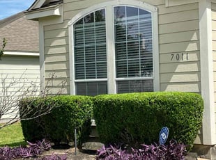 Bush Trimming by Abraham Flores for alisa f. in Richmond, TX
