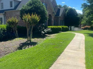 Eddie H.'s Lawn Service service result