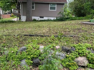Camille R.'s Lawn Care service result