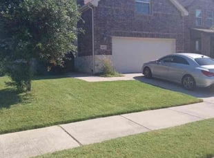 Michele B.'s Lawn Care service result