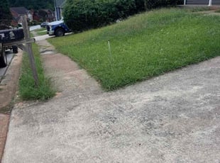 Bush Trimming by Xavier Perry for Priscilla E. in Decatur, GA