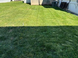 Janet G.'s Yard Cutting service result