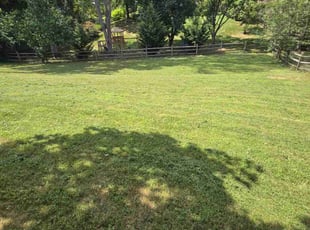 August D.'s Lawn Service service result