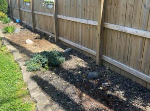 Cleanups by Brad Knebel for Kaitlyn N. in Louisville, KY