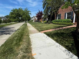 Kerriston W.'s Lawn Service service result