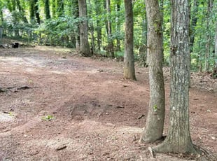 Leaf Removal by B fleming for Nicole J. in Stockbridge, GA