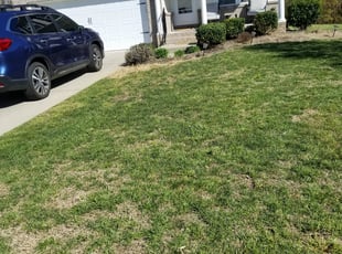 Landscaping by Griff Lee for Larry C. in Williamsburg, VA