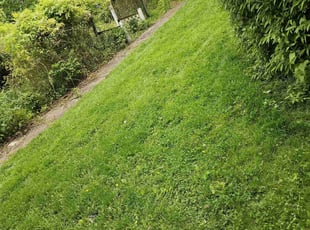 David W.'s Lawn Care service result