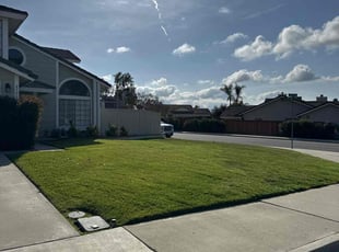 Olga B.'s Lawn Service service result