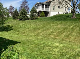 Candice D.'s Lawn Service service result